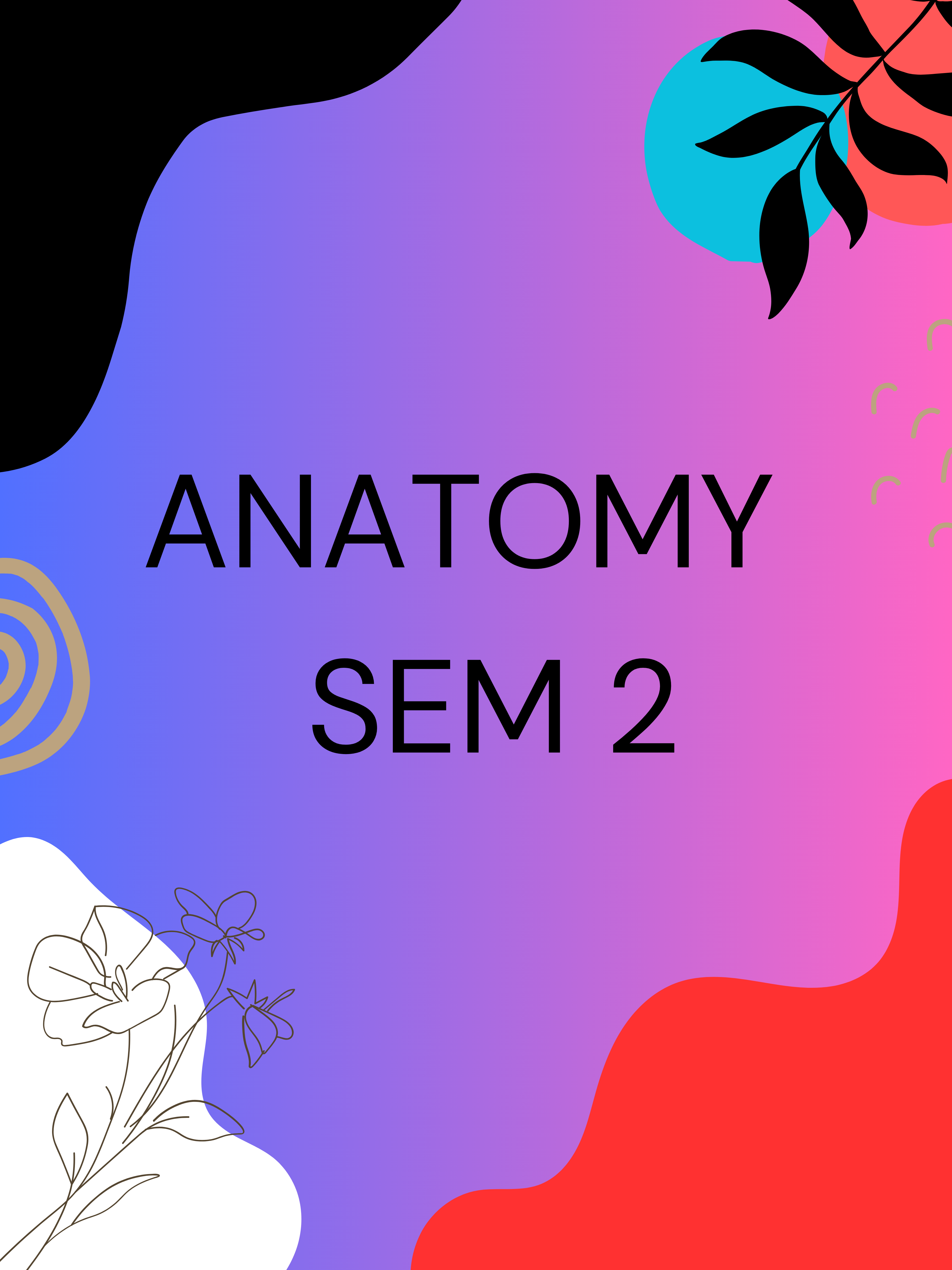 ANATOMY SEM -2