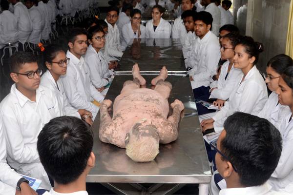 ANATOMY DISSECTION VIDEOS